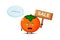 Cute persimmon mascot with the sales sign