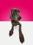 Cute pet, dog posing with big compassionate eyes over pink studio background. Brown Weimaraner fur. Best fluffy friend