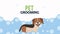 cute pet grooming bath time animation