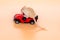 Cute pet mouse light brown playing with car