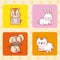 Cute pets collection