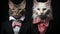 Cute pets, domestic cats, looking at camera, feline elegance generated by AI