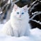 Cute picture of white cat with blue eyes and big tail, A cat as white as snow