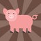 Cute pig cartoon animal pink agriculture farm mammal domestic piglet character vector illustration