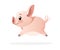 Cute pig. Cartoon character design. Running little pig. Flat vector illustration isolated on white background