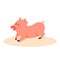 Cute pig. Farm domestic animal with a piglet. Pink creature.