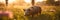 Cute pig grazing at summer defocused meadow. AI generative illustration