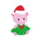 Cute pig New year 2019 symbol little piglet character, teddy-bear piggy toy.