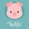 Cute pig/piglet head