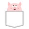 Cute pig in the pocket looking up. Happy face. Cartoon animals. Piggy piglet character. Dash line. Animal collection. White and