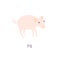 Cute pig vector color characters set. Sketch squirrel in pastel pink colour