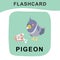Cute pigeon flashcard. Farm animal flashcard. Educational printable game cards. Colorful printable flashcard. Vector illustration