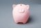 Cute piggy bank