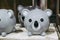 Cute piggy bank in the shape of a koala bear