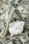 Cute Piggy Bank under shelter of cash