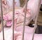 Cute piglet in farm. Healthy small pink pig. Livestock farming. Meat industry. African swine fever and swine flu concept. Swine