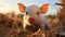 Cute piglet grazing on meadow, enjoying nature sunset generated by AI