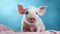 Cute piglet looking at camera, a small pink innocence generated by AI