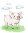 Cute piglet with rosy pink cheeks is standing on the grass. In the mouth eats a flower chamomile.