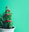 Cute pine tree on green background.merry christmas and winter