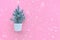 Cute pine tree in pot with snow on pink background.merry christmas and winter concepts ideas