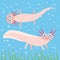 Cute pink Axolotl Cartoon character on blue background in the aquarium (Mexican salamander, Ambystoma mexicanum) albino aquarium