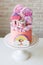 Cute pink birthday cake for a little girl with fondant unicorn, gingerbread princess castle, rainbow and meringue