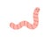 Cute pink earthworm illustration. Worm vector icon