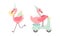 Cute Pink Flamingo in Birthday Party Hat Driving Scooter and Carrying Cake Vector Set