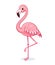 Cute pink flamingo on a white background.