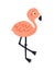 Cute pink hand drawn flamingo vector flat illustration. Adorable exotic colorful bird stand isolated on white. Funny