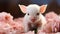 Cute pink piglet looking at flower, innocence in nature generated by AI