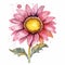 cute pink sunflower water color painting on white background generative AI