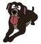 Cute Pitbull With Tongue Sticking Out Cartoon Color Illustration