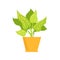 Cute Plant in Yellow Pot, Vector Illustration