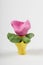 Cute plasticine flower on white background