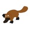 Cute platypus animal illustration design