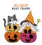 Cute playful black kitten cat with happy witch gnome Halloween sit on orange pumpkin, flat cartoon character hand drawn doodle