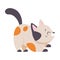 Cute Playful Cat with Spotted Coat as Domestic Pet with Funny Snout Playing Vector Illustration