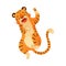 Cute playful tiger. Friendly jungle wild predator animal cartoon vector illustration