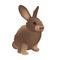 Cute plush rabbit brown hare, can be used for postcards