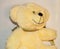 Cute plush white bear with scarf, children`s soft toy