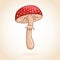 Cute poisonous mushroom
