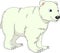 Cute polar bear cartoon on a white background