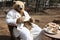 A cute polar bear enjoying a mug of warmchocolate while sitting