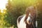 Cute pony with bridle in green park on sunny