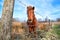 Cute pony outdoors on closed pasture