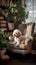 Cute poodle sitting on armchair in living room at home