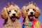 Cute poodles with crowns on heads smiling on bright multicolored background. Portrait of happy dogs with royal