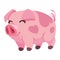 cute pork farm animal